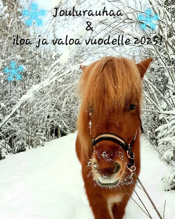 Kuva KasvuPaikan Facebook-sivuilta