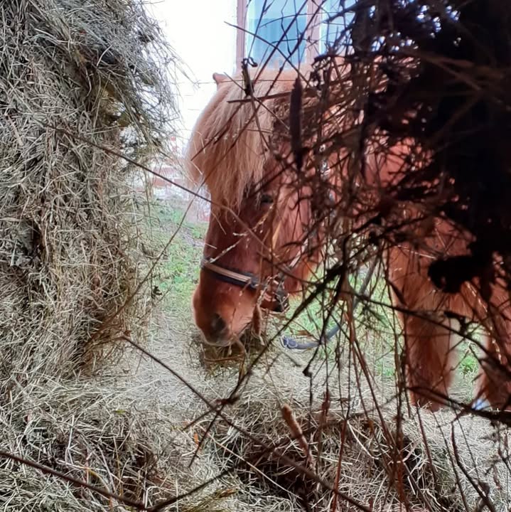 Kuva KasvuPaikan Facebook-sivuilta